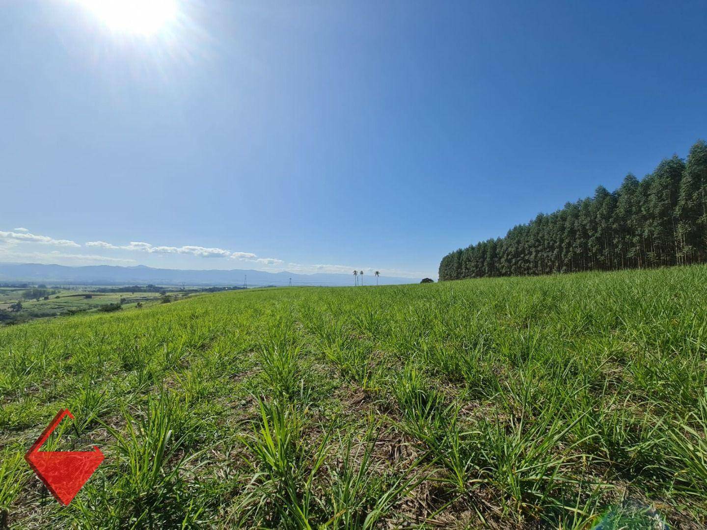 Fazenda à venda, 1040600M2 - Foto 17