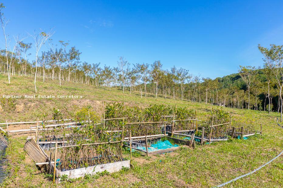 Fazenda à venda com 1 quarto, 2750000m² - Foto 15