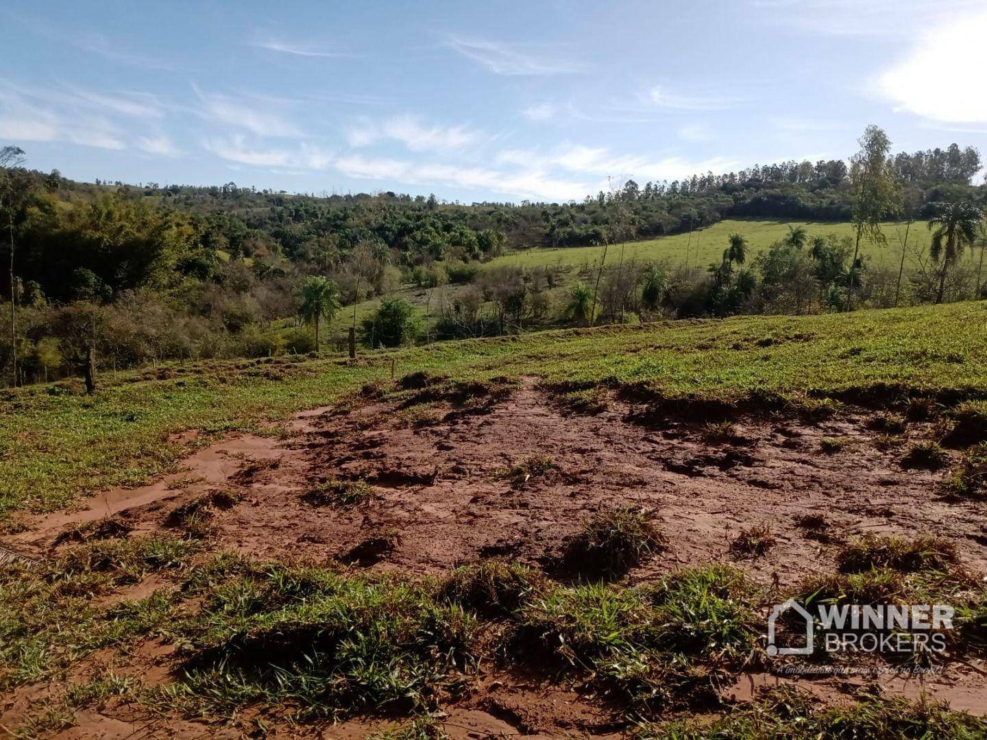 Chácara à venda com 3 quartos, 100m² - Foto 23