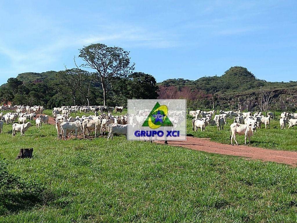 Fazenda à venda com 5 quartos, 60693600M2 - Foto 1