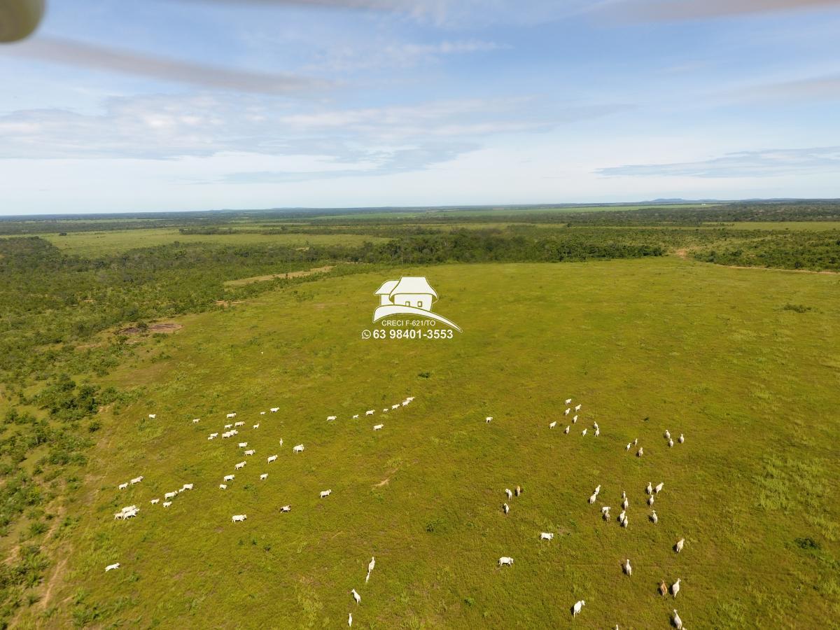 Fazenda à venda, 1m² - Foto 41