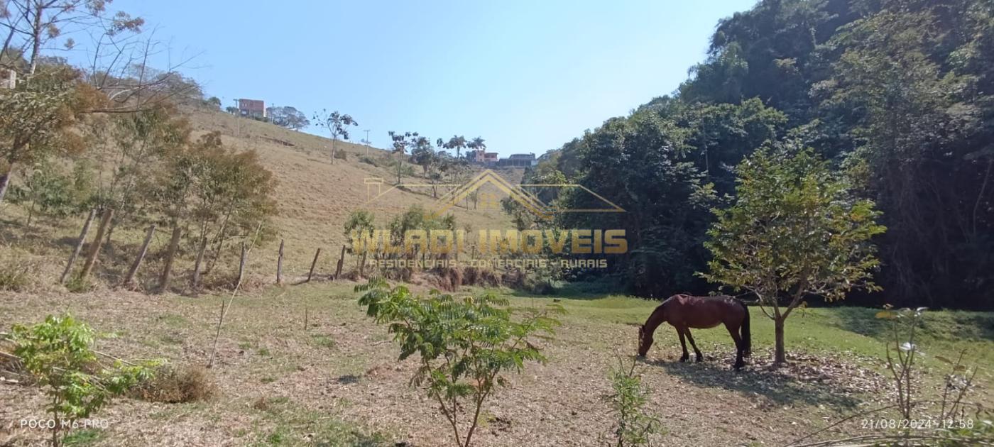 Fazenda à venda, 25000m² - Foto 5