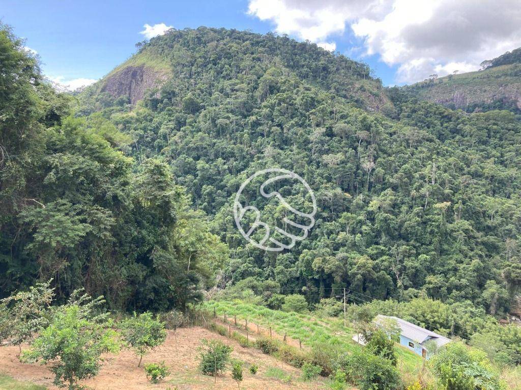 Chácara, 3 quartos, 6000 m² - Foto 4