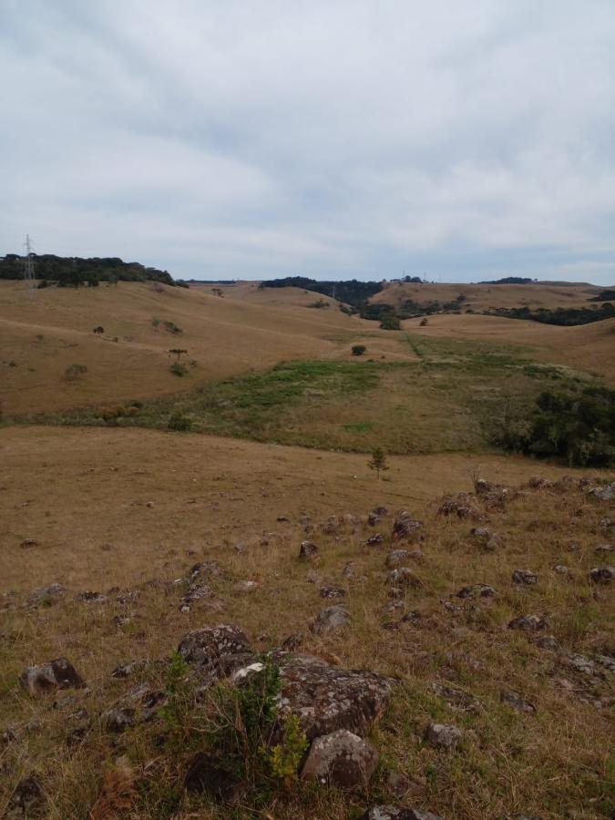 Fazenda à venda, 238m² - Foto 3