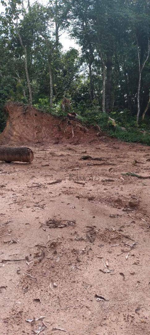 Terreno à venda, 331M2 - Foto 2