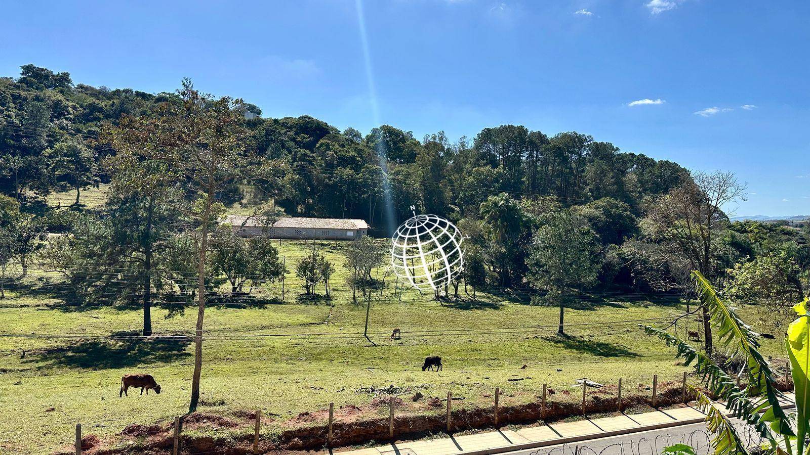 Terreno, 8 hectares - Foto 7