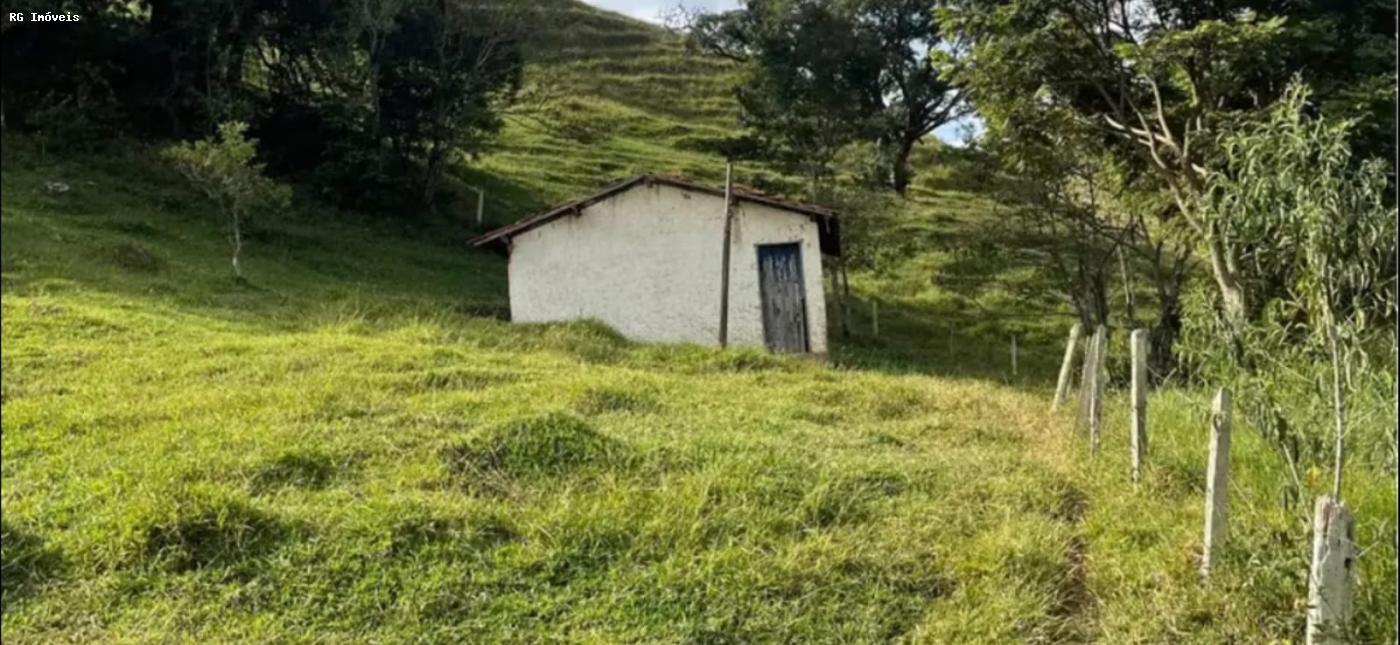 Sítio à venda com 3 quartos, 150m² - Foto 7