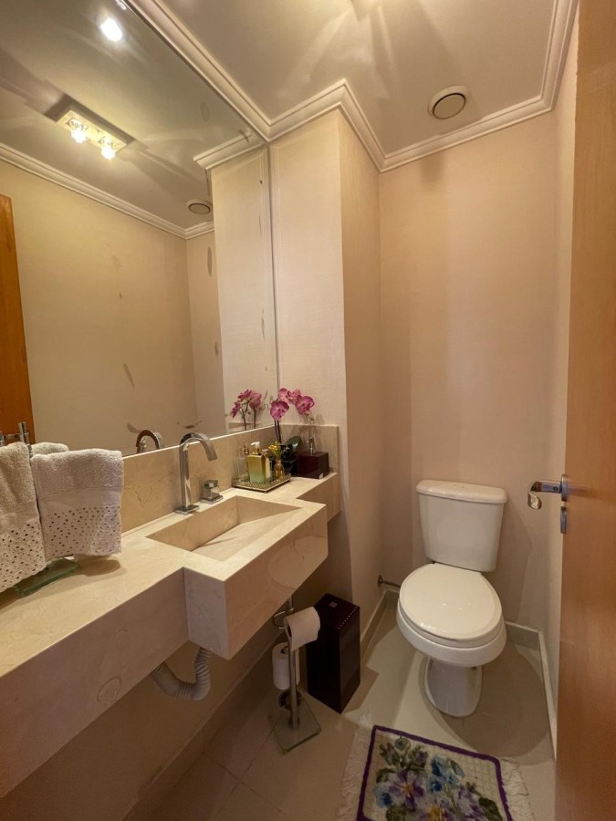 Apartamento à venda com 3 quartos, 176m² - Foto 7