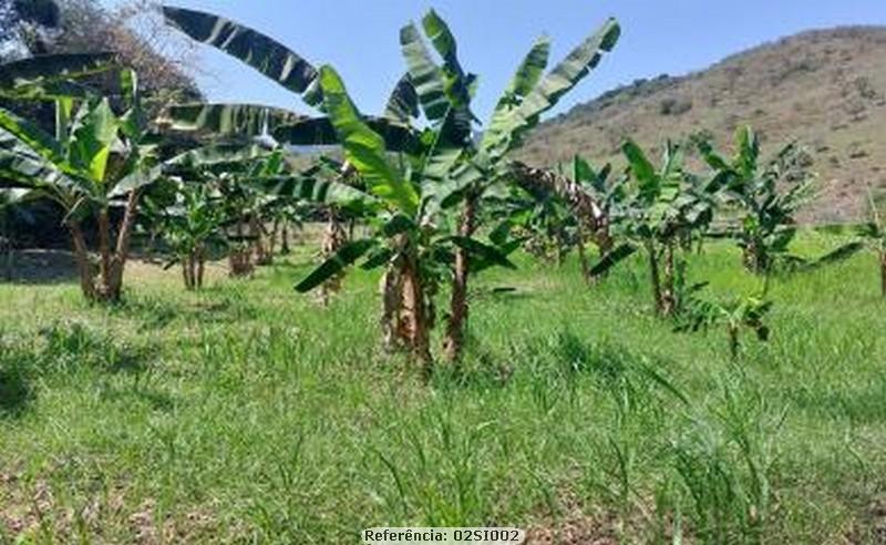 Chácara à venda com 3 quartos, 10000m² - Foto 14