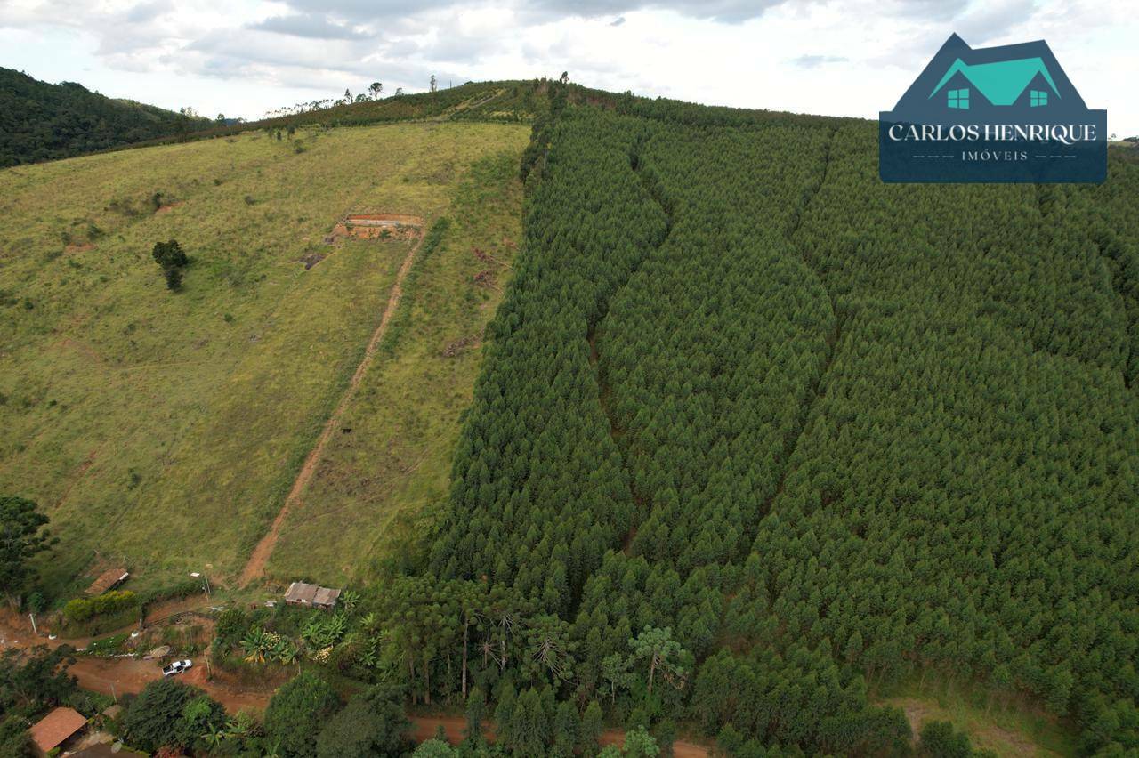 Terreno à venda, 10000M2 - Foto 4