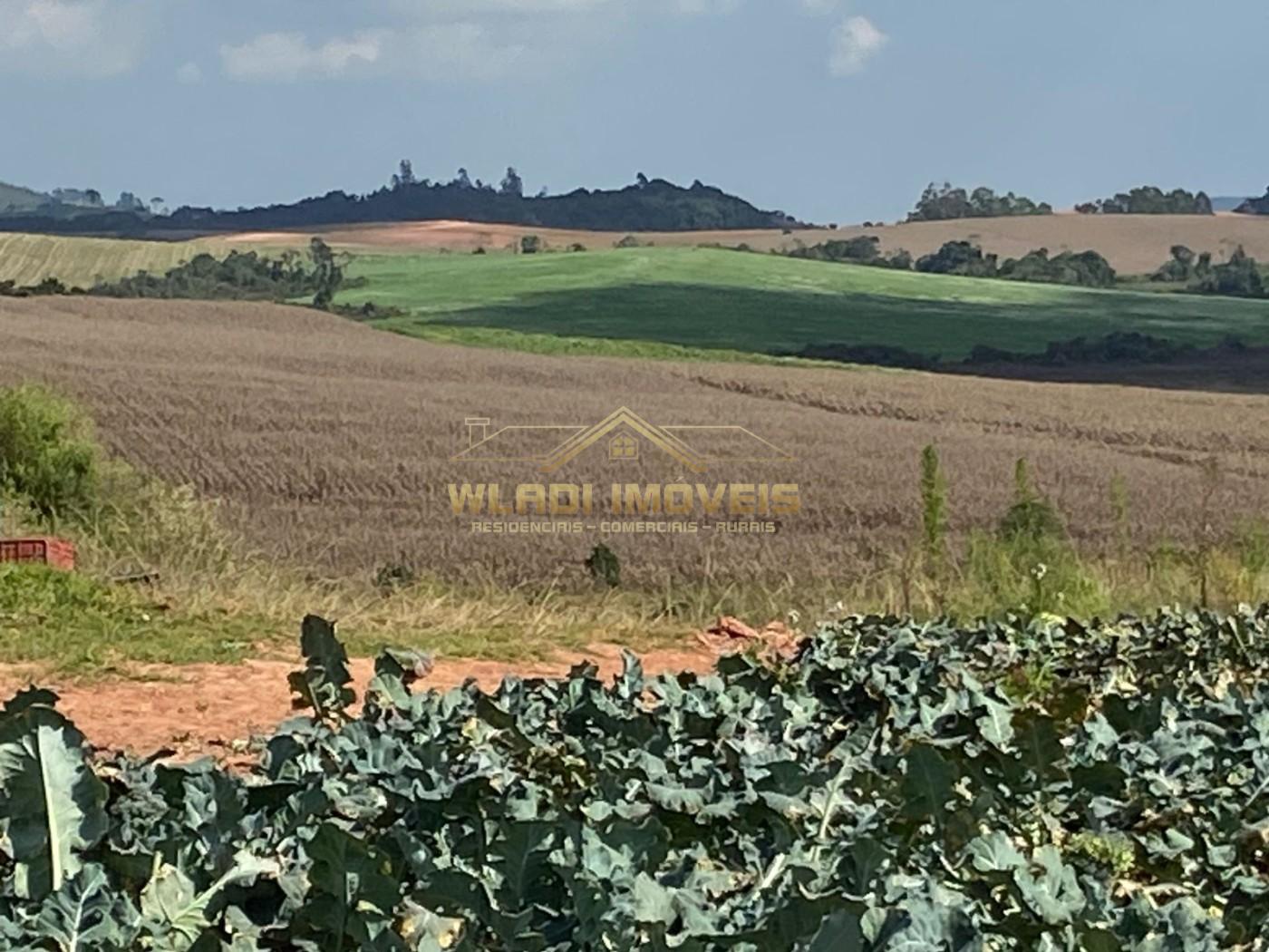 Fazenda-Sítio-Chácara, 70 m² - Foto 6