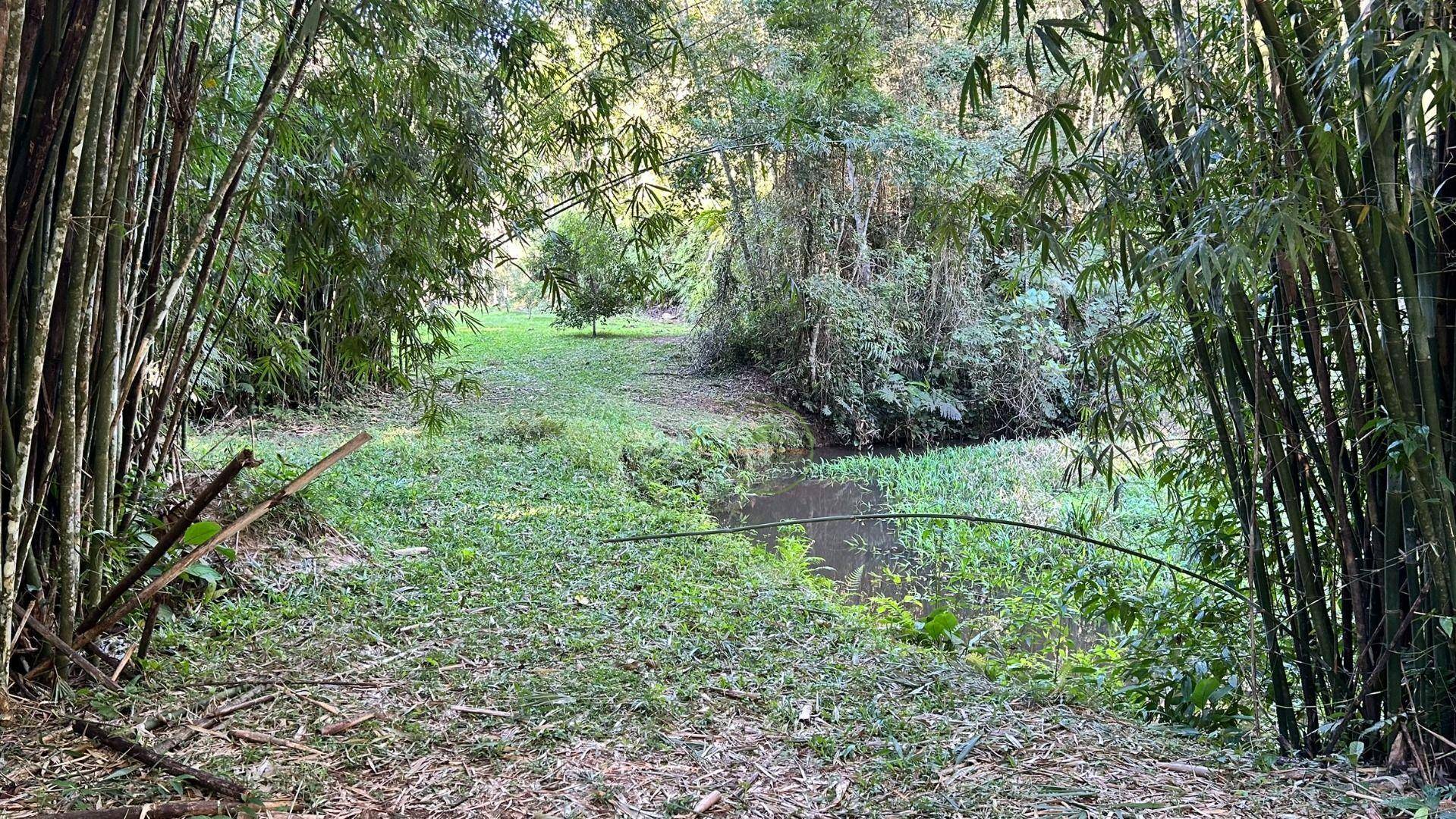 Sítio, 19 hectares - Foto 48