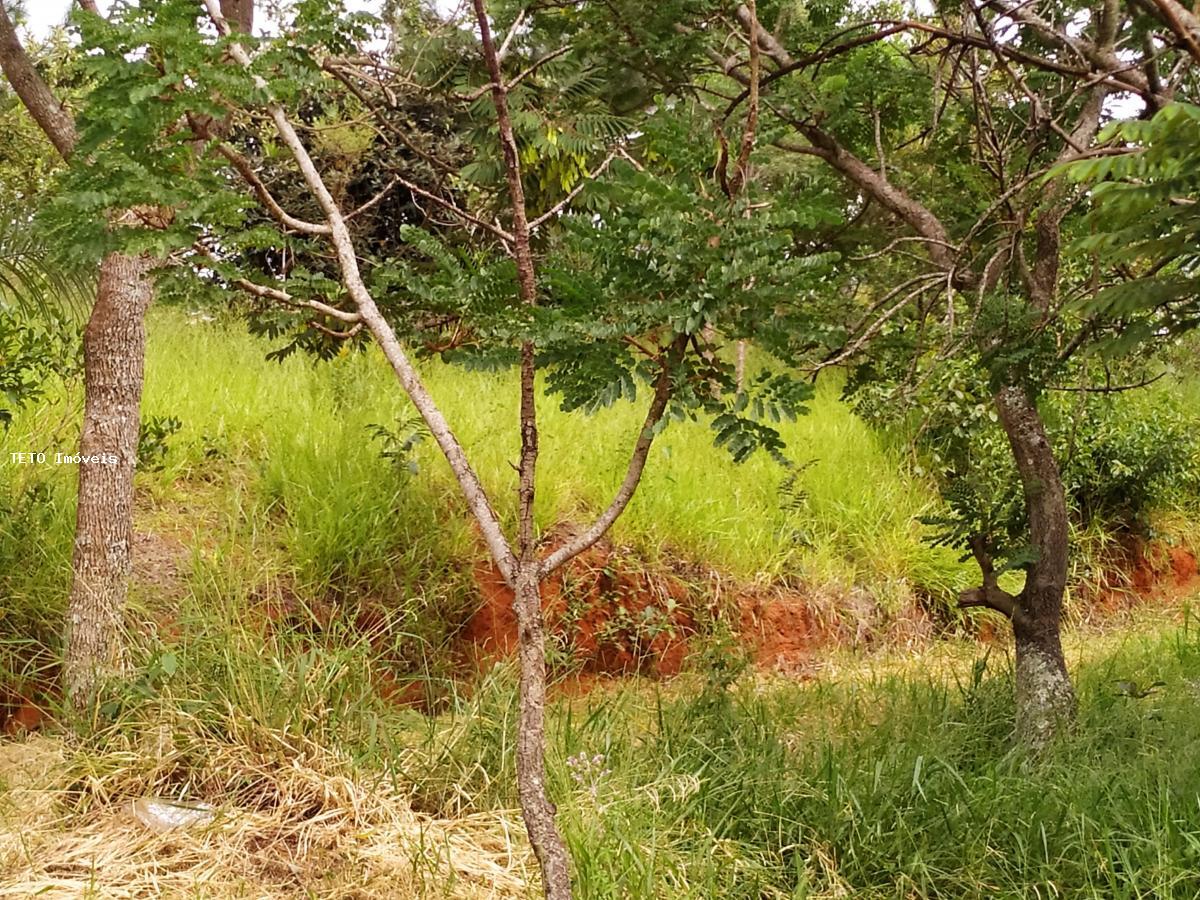 Terreno à venda, 2000m² - Foto 6