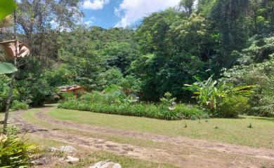 Sítio à venda com 3 quartos, 100000m² - Foto 23