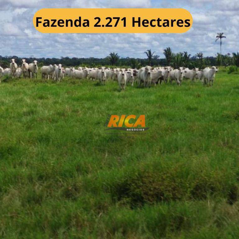 Fazenda-Sítio-Chácara, 2271 hectares - Foto 1