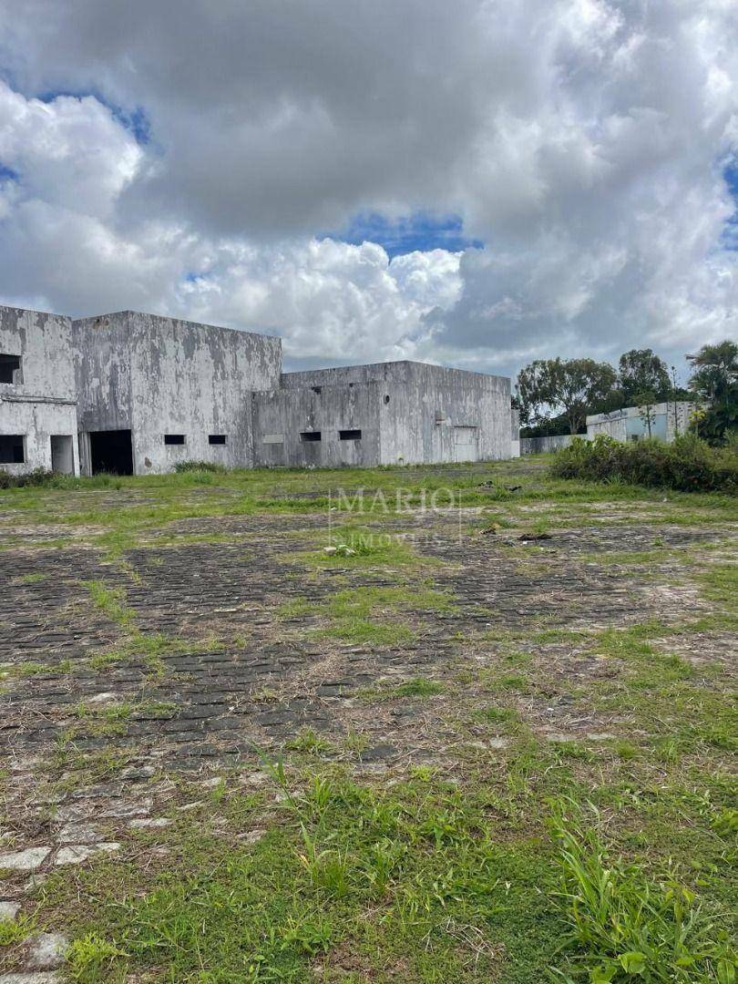 Terreno, 2 hectares - Foto 6