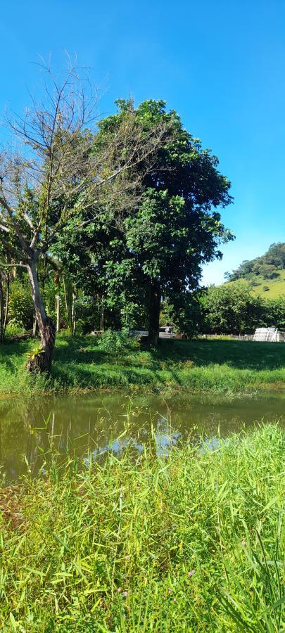 Sítio à venda com 2 quartos, 18000m² - Foto 6