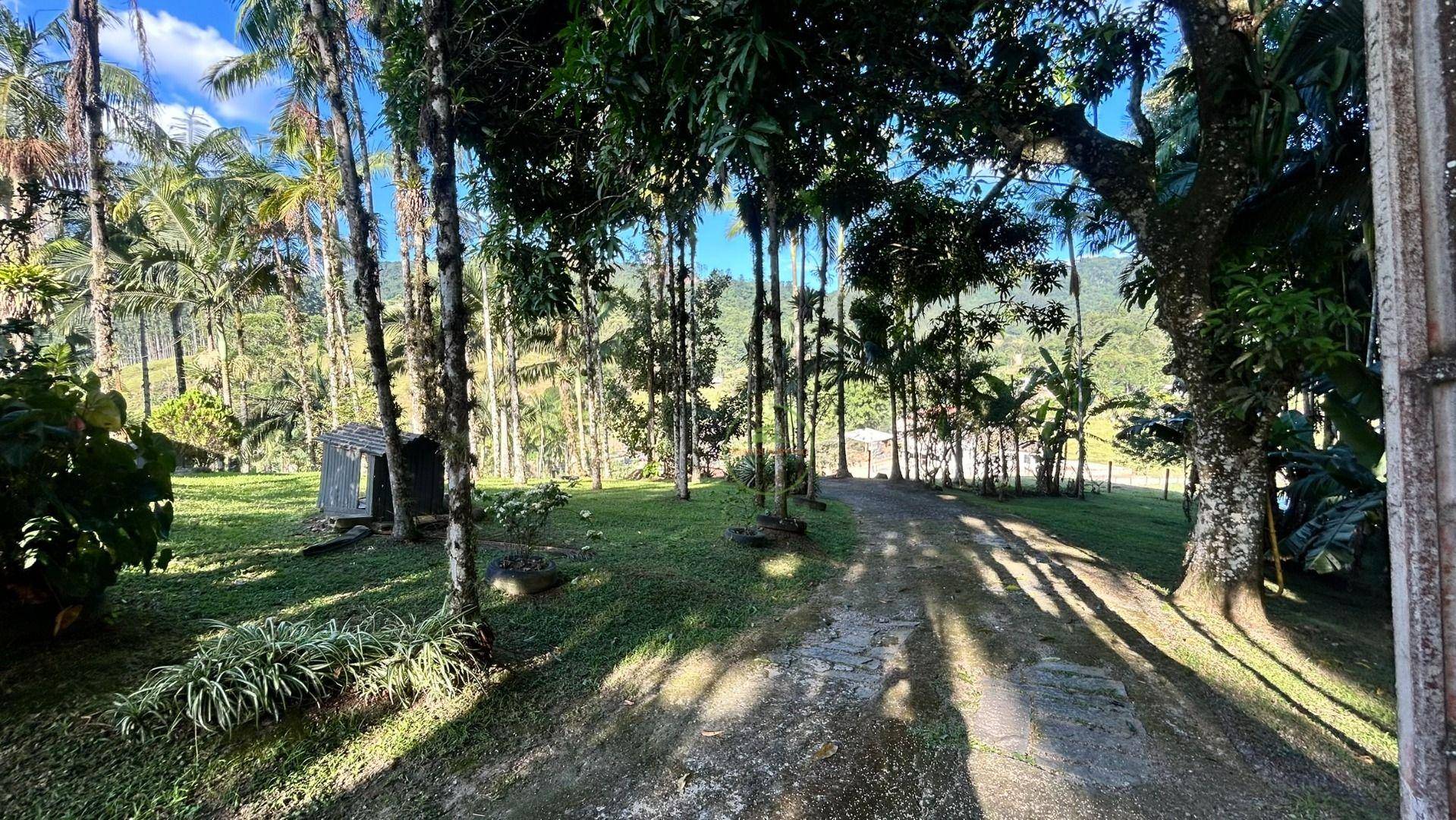 Sítio, 3 hectares - Foto 12