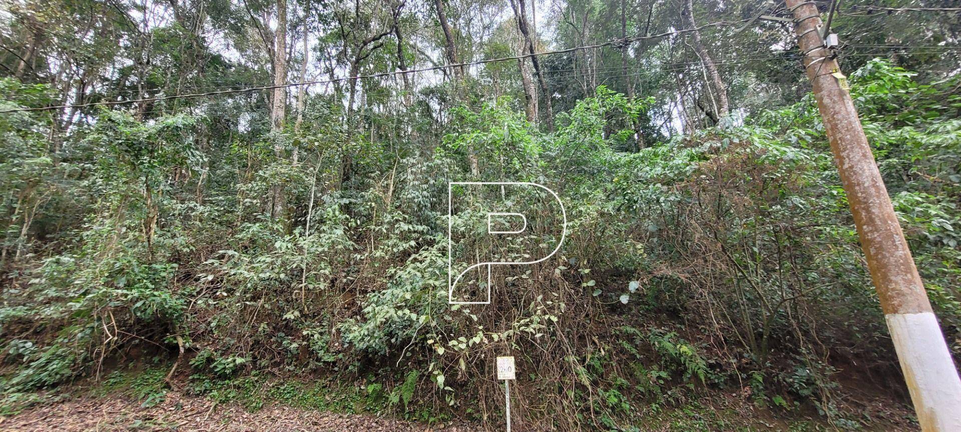 Loteamento e Condomínio, 2568 m² - Foto 6