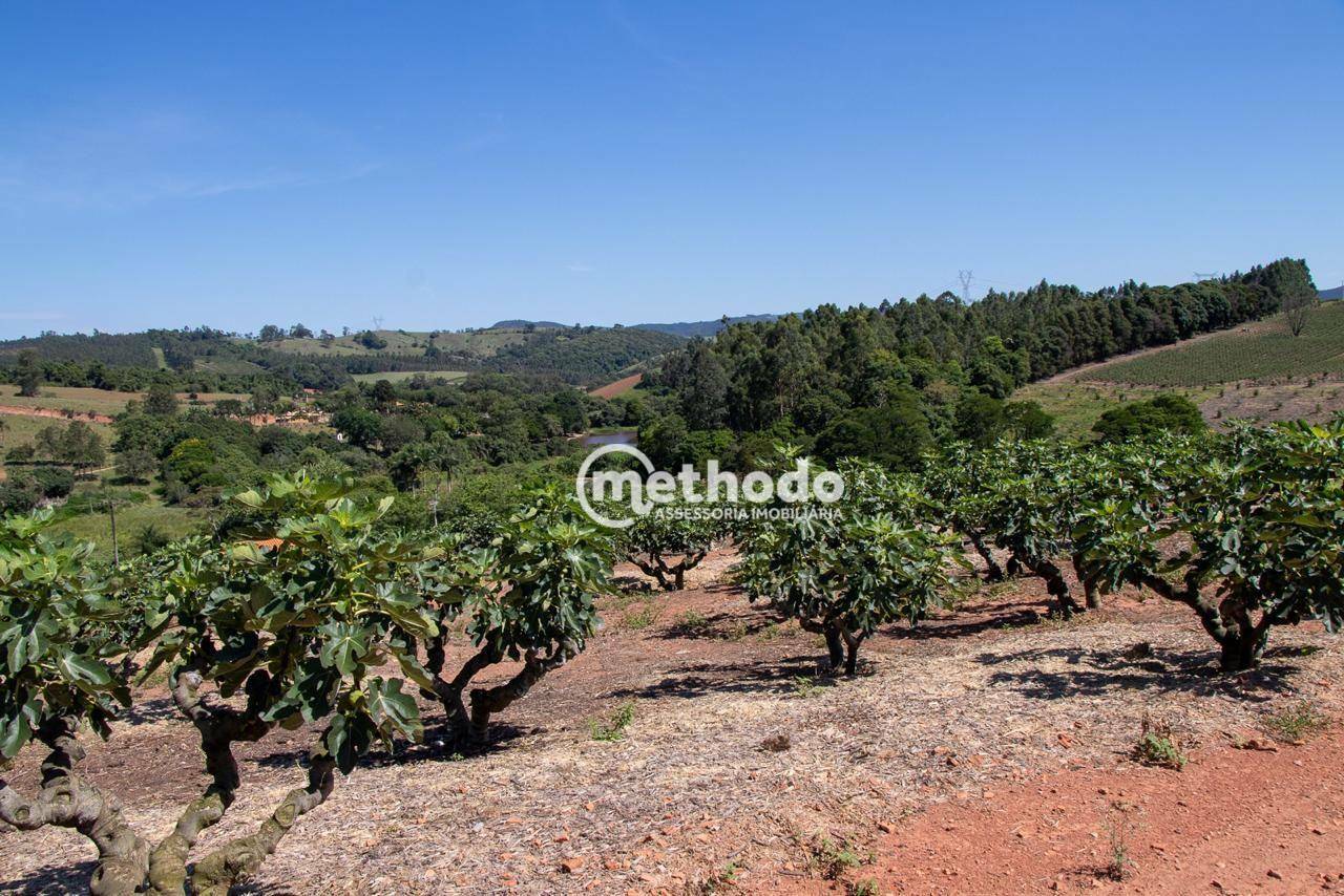 Terreno à venda, 56785M2 - Foto 10