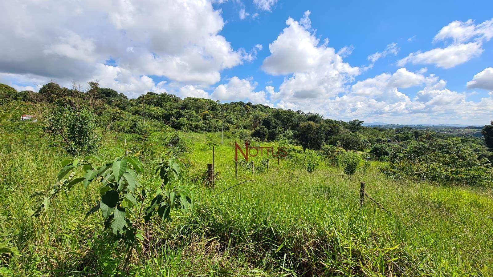 Terreno à venda, 300M2 - Foto 2