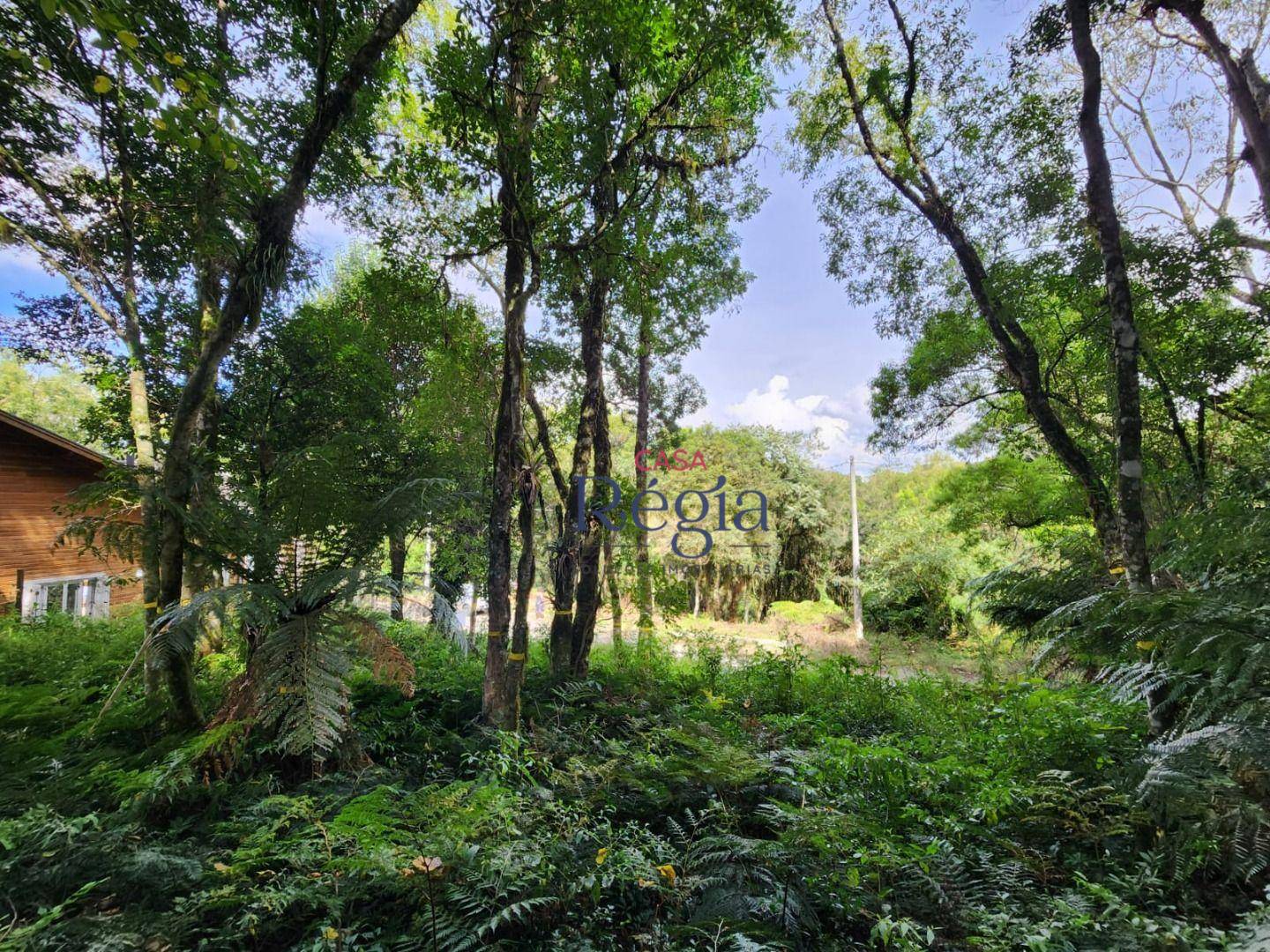 Terreno, 681 m² - Foto 1