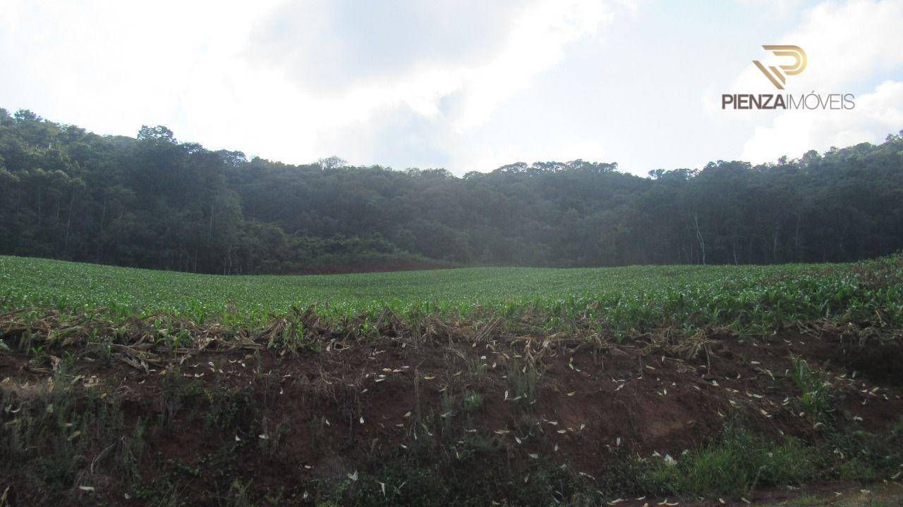 Terreno, 10 hectares - Foto 1