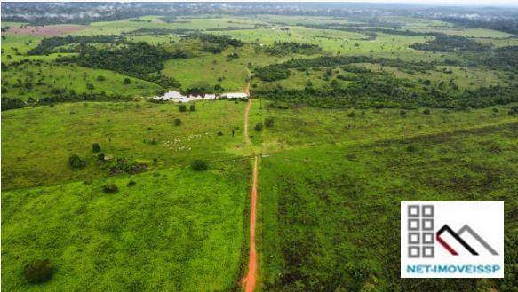 Fazenda, 4598 hectares - Foto 1