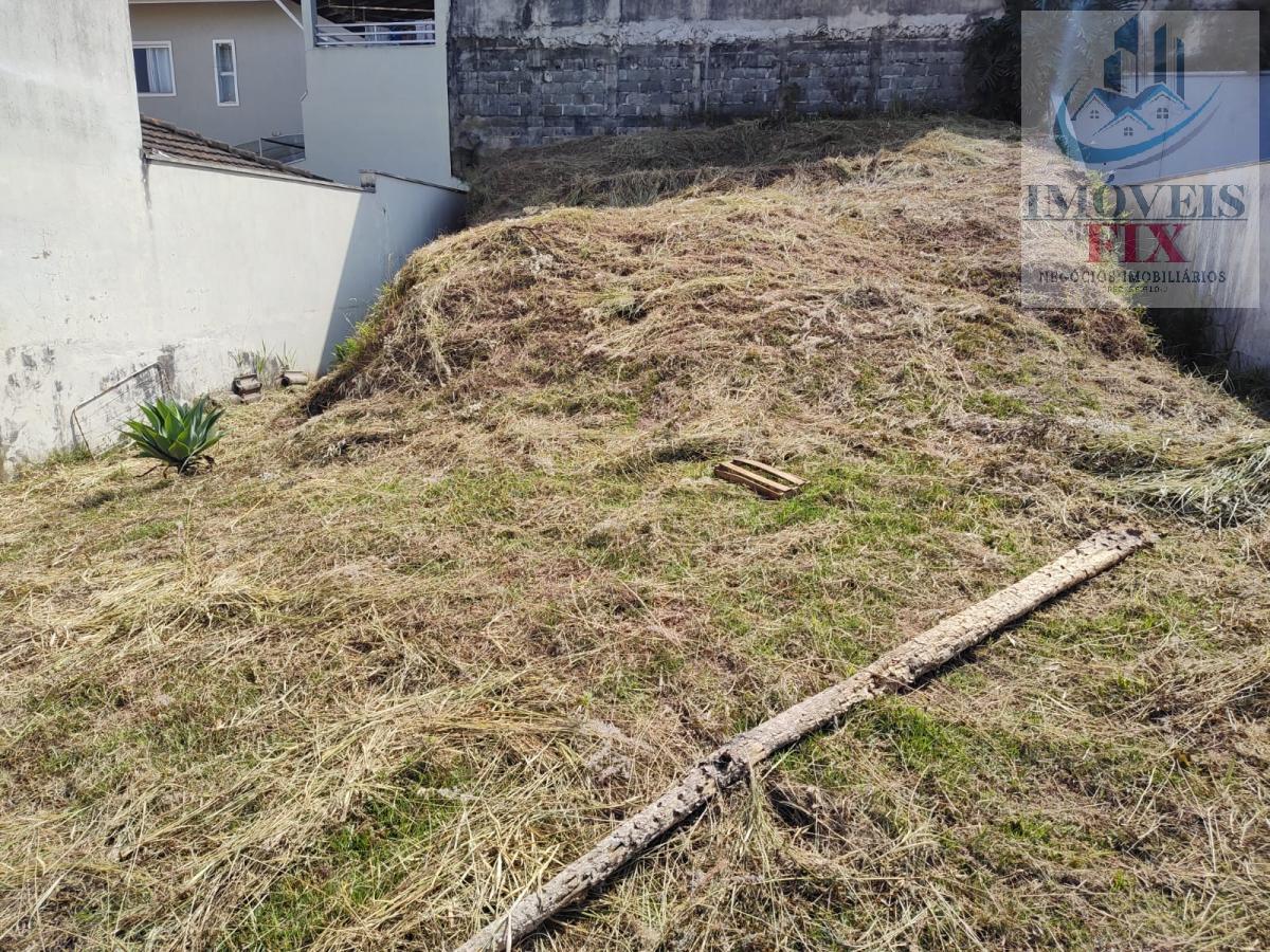 Terreno à venda, 250m² - Foto 4