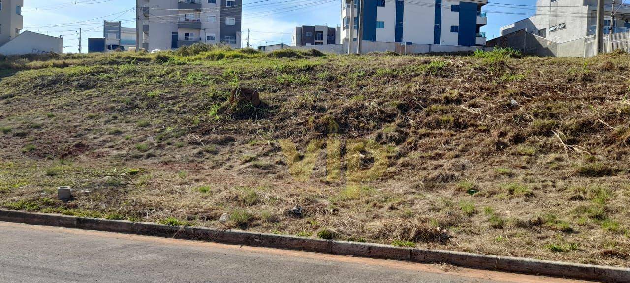 Terreno à venda, 325M2 - Foto 3