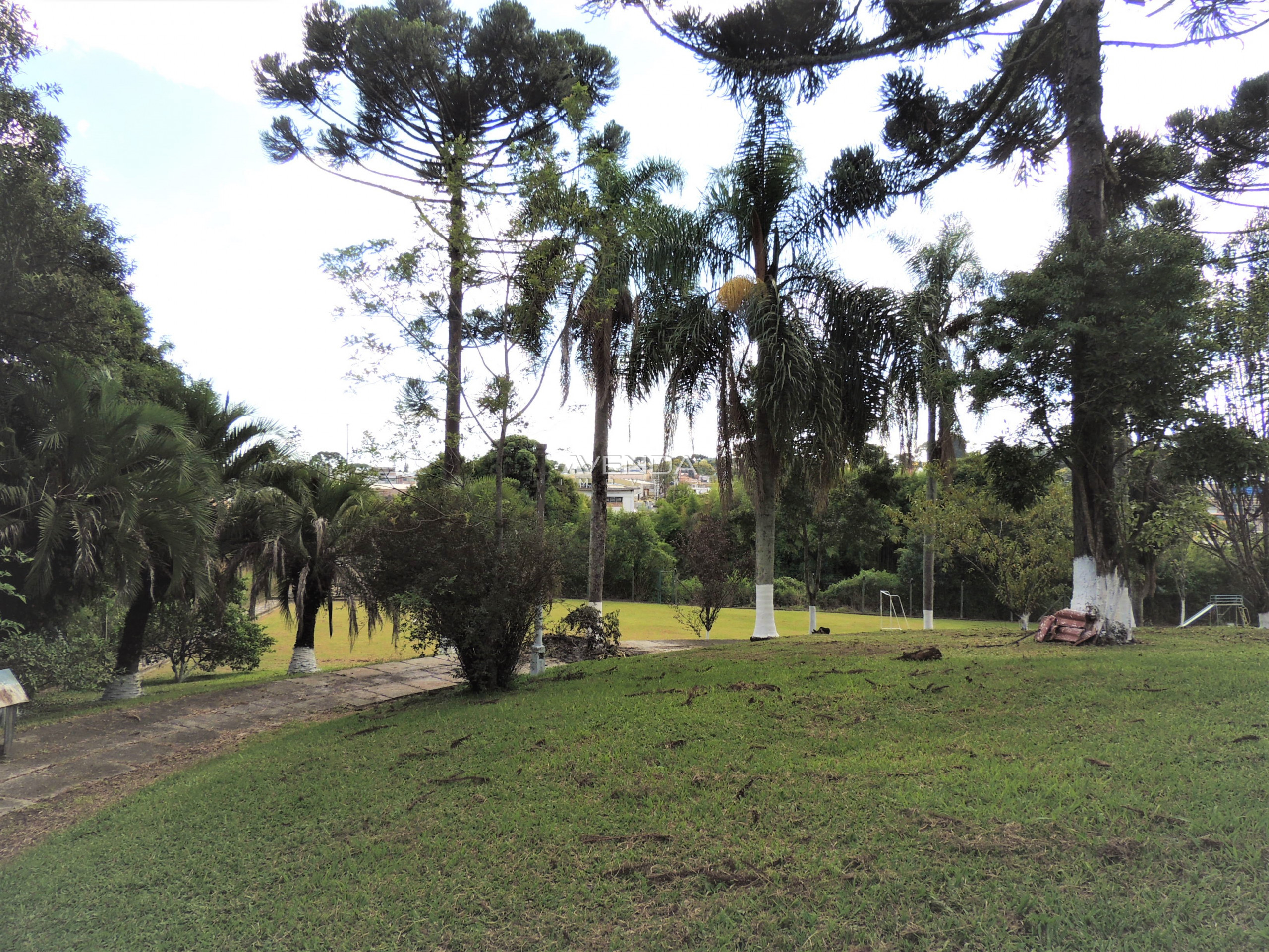 Fazenda à venda com 4 quartos, 1100m² - Foto 8