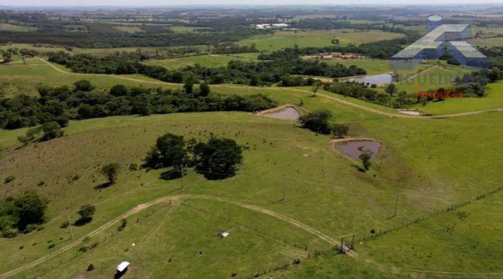 Haras e Área Rural Padrão à venda, 798600M2 - Foto 5