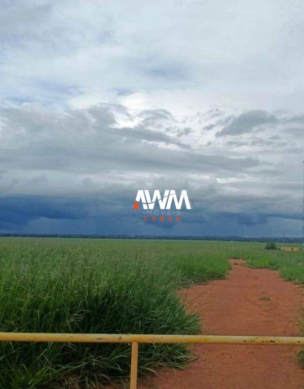 Fazenda, 1239 hectares - Foto 8