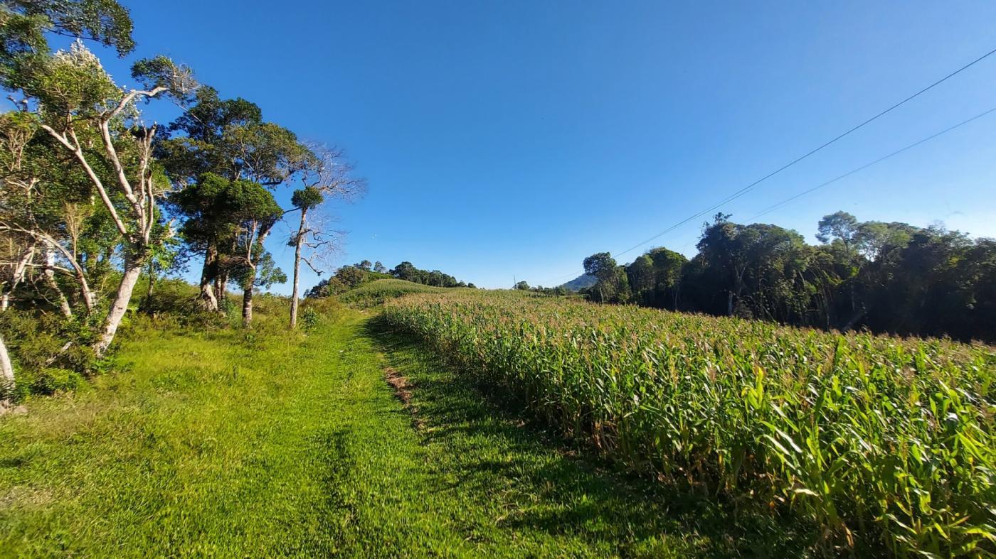 Fazenda à venda com 2 quartos, 925500m² - Foto 20