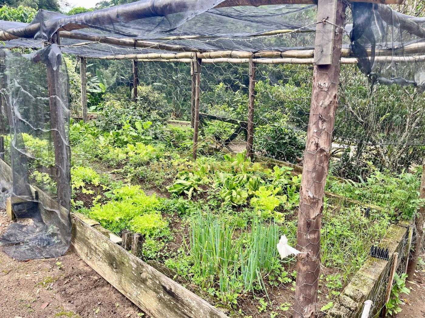 Chácara à venda com 6 quartos, 5000m² - Foto 8