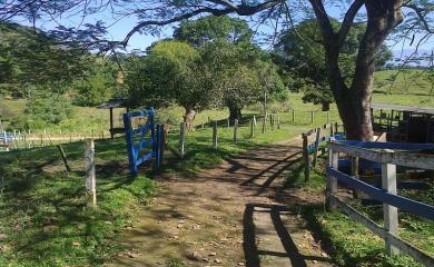 Fazenda à venda com 3 quartos, 40000m² - Foto 15