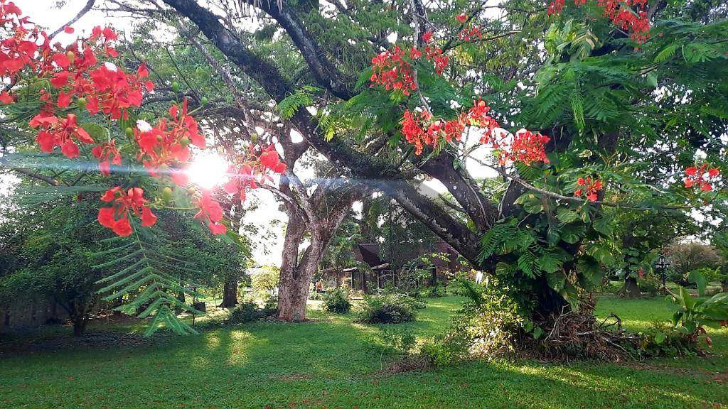 Chácara, 5 quartos, 9000 m² - Foto 3