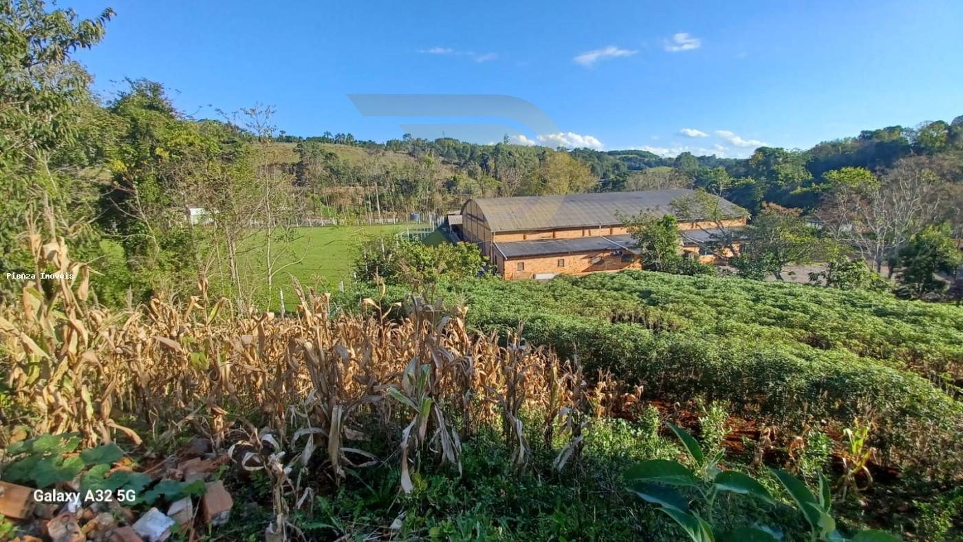 Chácara à venda com 4 quartos, 7300m² - Foto 3