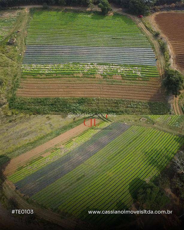 Terreno à venda, 20000M2 - Foto 2