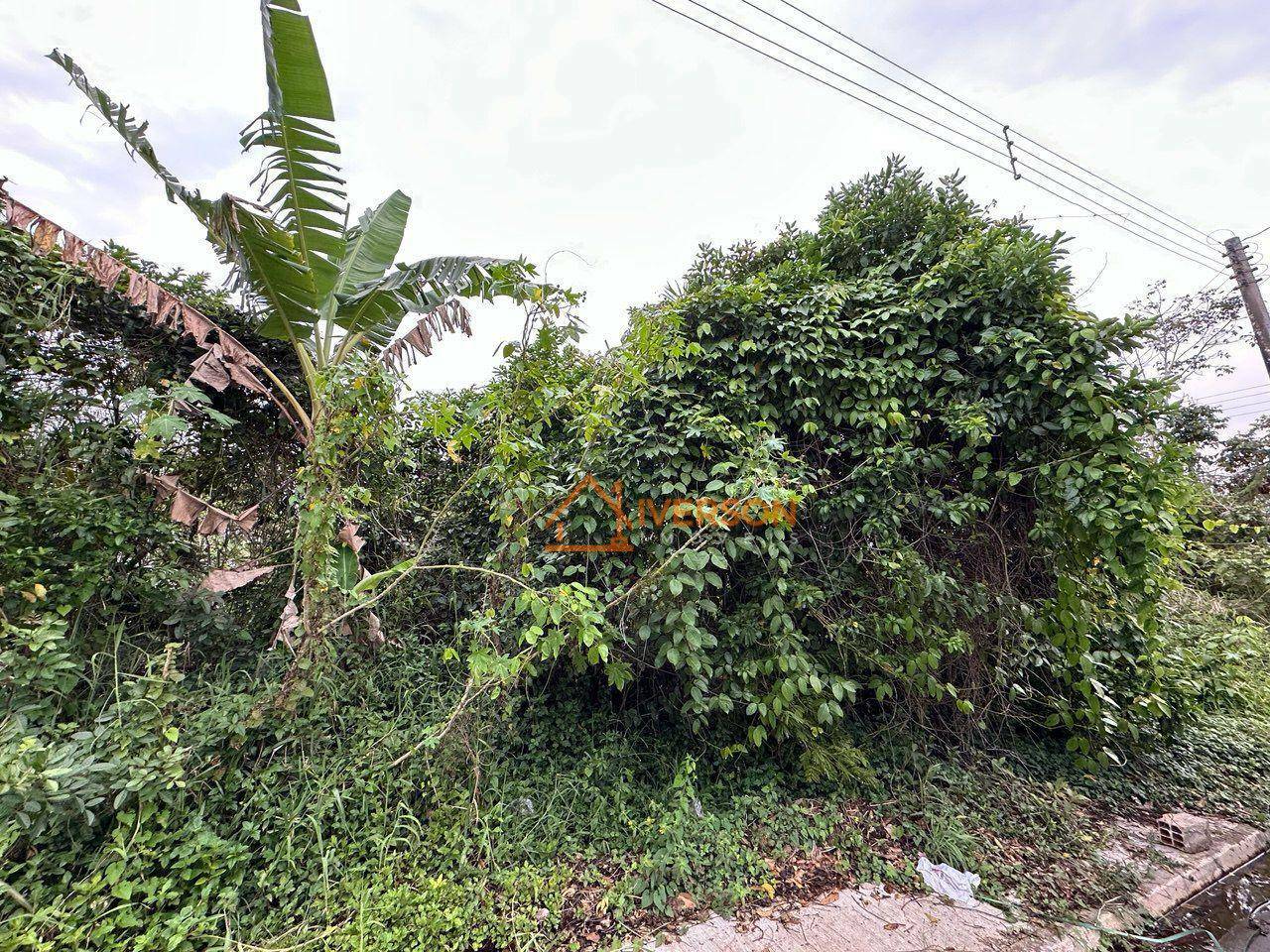 Terreno, 314 m² - Foto 1