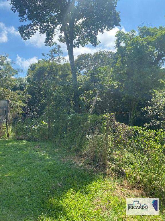 Sítio à venda com 6 quartos, 6657M2 - Foto 11