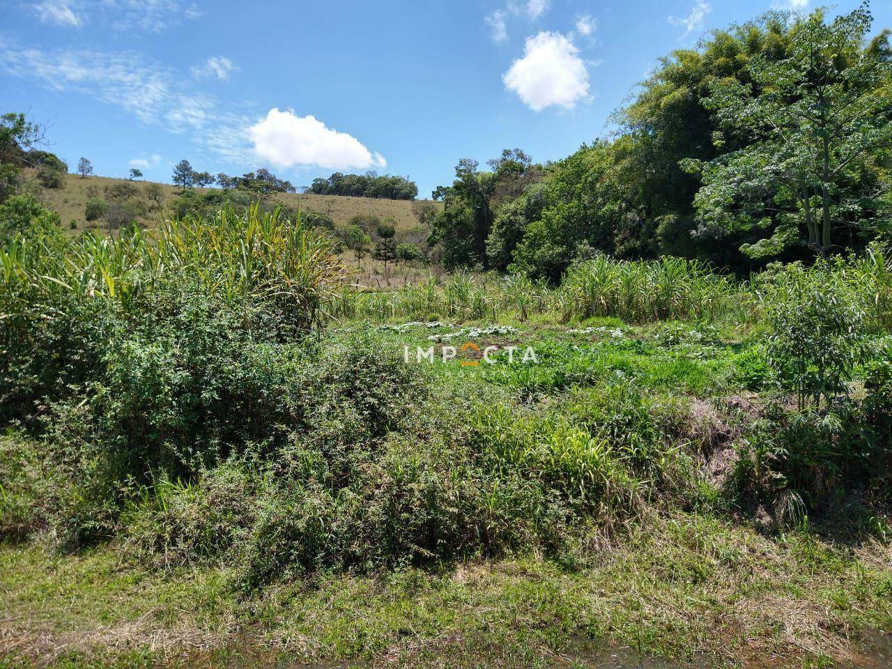 Sítio à venda com 3 quartos, 58000M2 - Foto 140