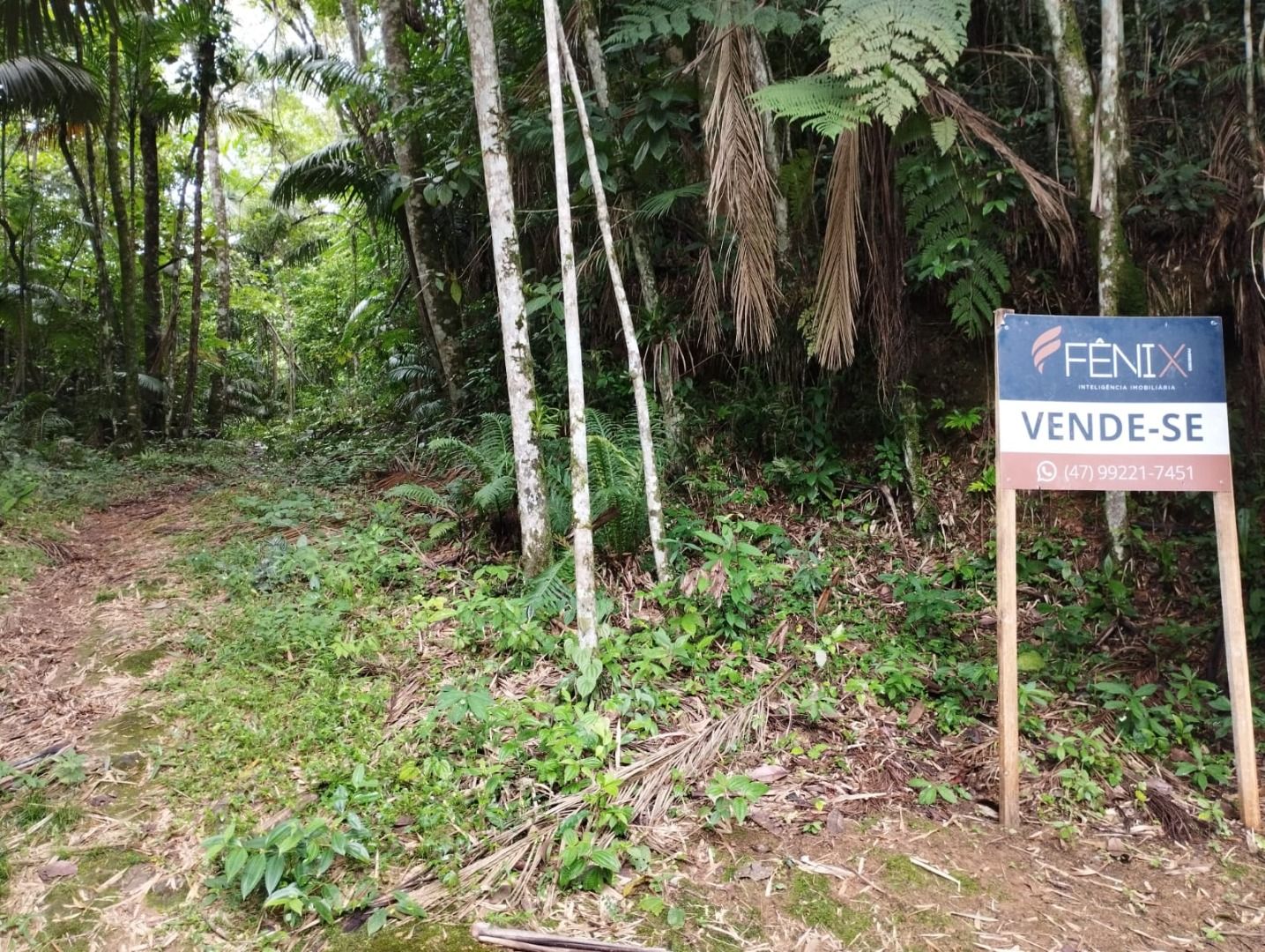 Terreno à venda, 19362M2 - Foto 4