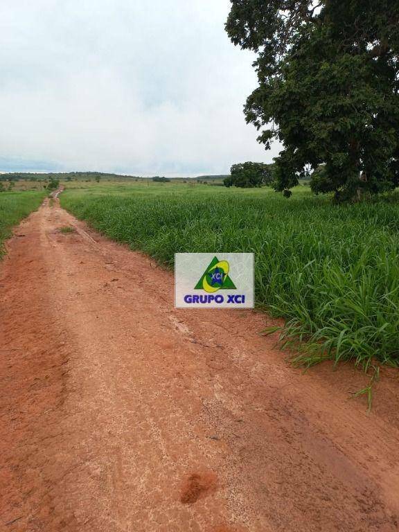 Fazenda-Sítio-Chácara, 997 hectares - Foto 3