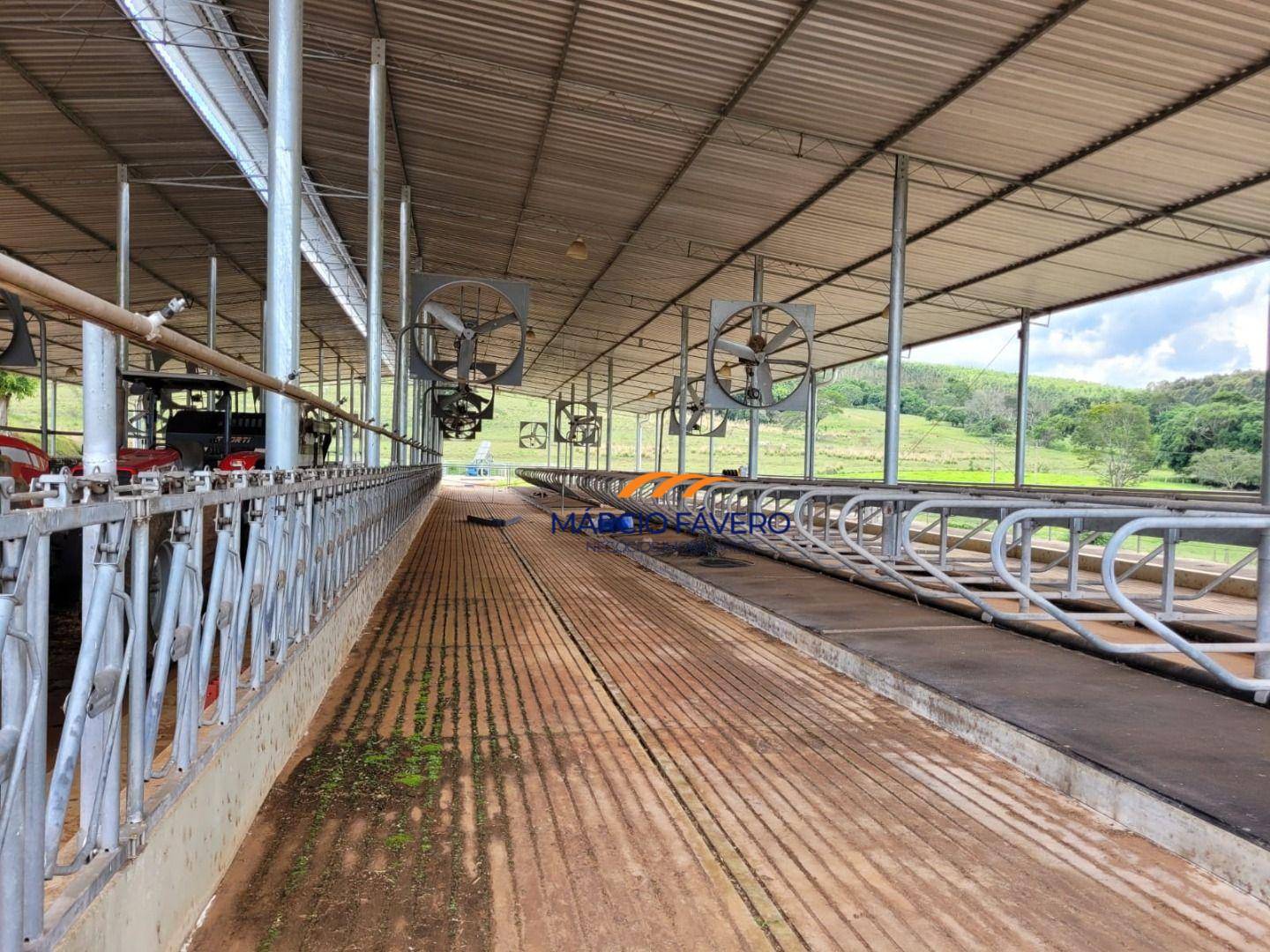 Fazenda, 155 hectares - Foto 2