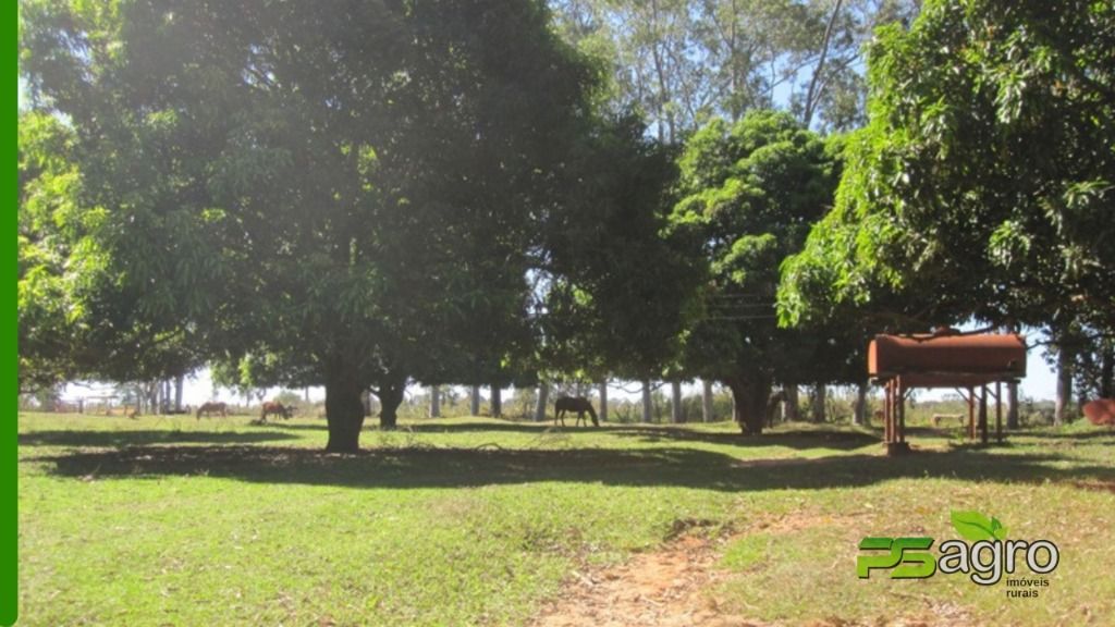 Fazenda à venda, 18029000M2 - Foto 5