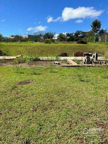 Loteamento e Condomínio à venda, 2500M2 - Foto 5