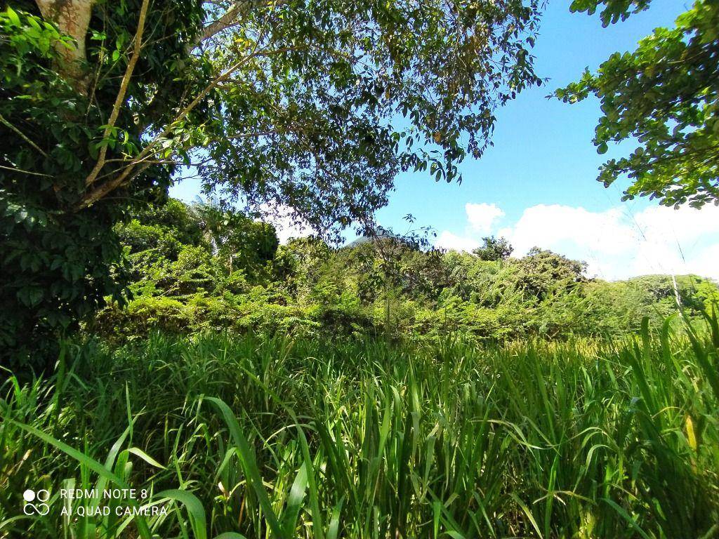 Loteamento e Condomínio, 1700 m² - Foto 4
