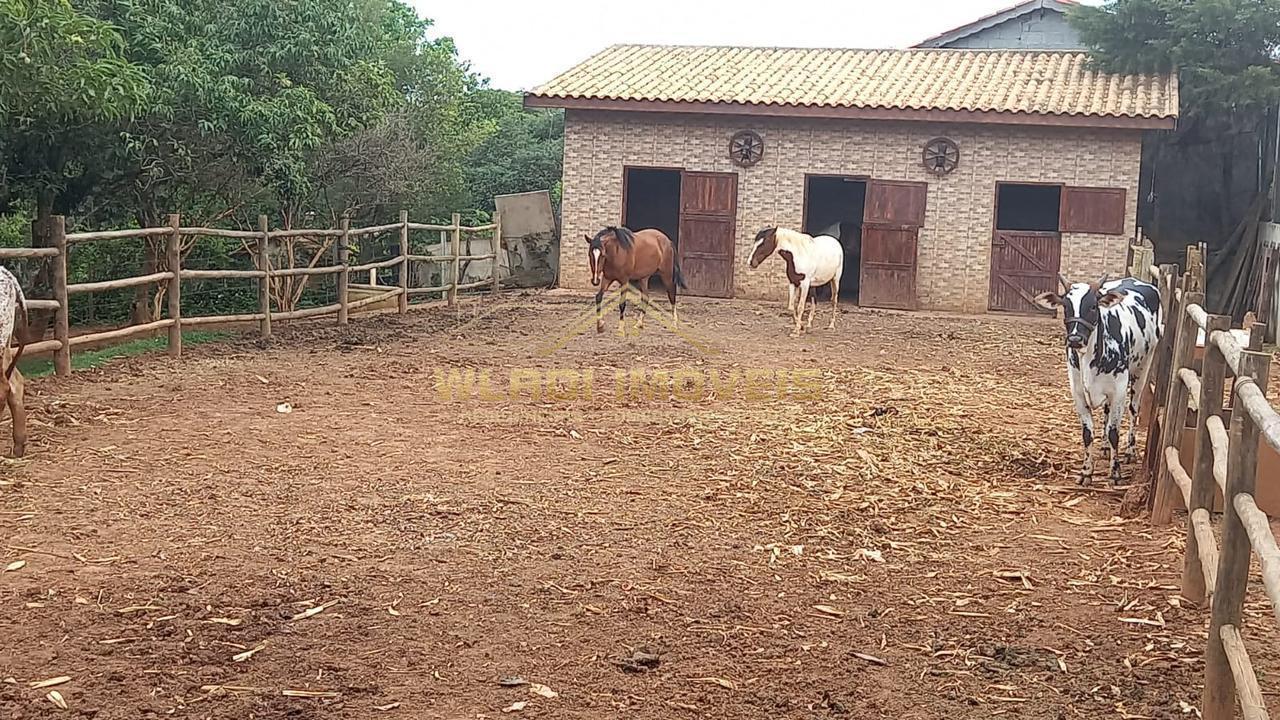 Fazenda à venda com 4 quartos, 5664m² - Foto 34