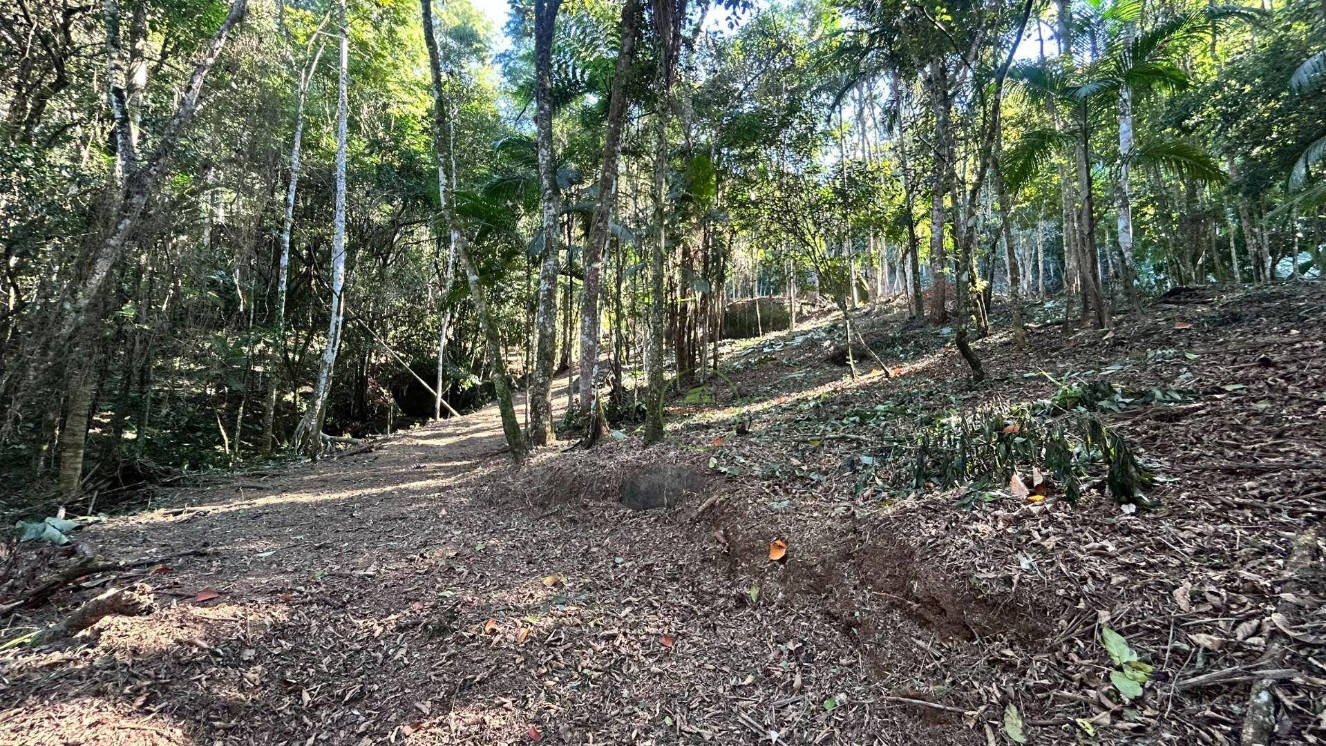 Terreno, 10000 m² - Foto 13